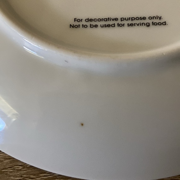 John James Audubon Porcelains Cardinal decorative plate - Picture 4 of 7